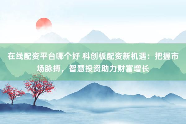在线配资平台哪个好 科创板配资新机遇:把握市场脉搏,智慧投资助力财富增长