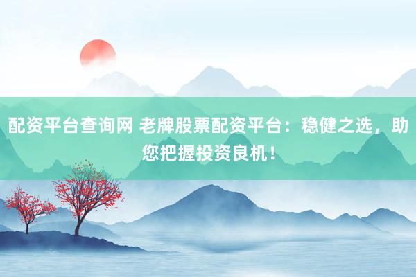 配资平台查询网 老牌股票配资平台:稳健之选,助您把握投资良机!