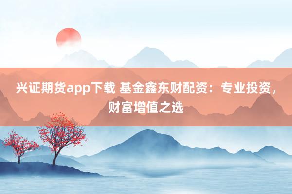 兴证期货app下载 基金鑫东财配资：专业投资，财富增值之选