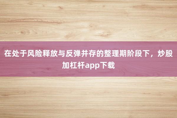 在处于风险释放与反弹并存的整理期阶段下，炒股加杠杆app下载