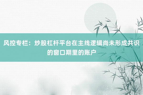 风控专栏:炒股杠杆平台在主线逻辑尚未形成共识的窗口期里的账户
