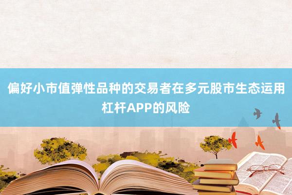 偏好小市值弹性品种的交易者在多元股市生态运用杠杆APP的风险
