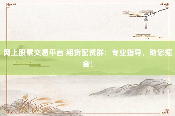 网上股票交易平台 期货配资群：专业指导，助您掘金！